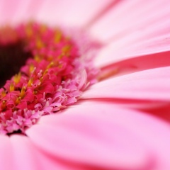 Наталья Большак, Санкт-Петербург