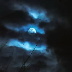 Сергей Халюк, 17.04.1984, Кишинев