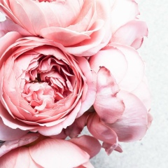 Анюта Анюта, 02.08