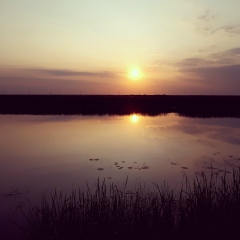 Руслан Кауысов, 22.01.1988, Астана