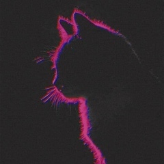 Дарья Киреева, 27.02, Москва