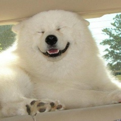 Клык Ft, 29.11.1987, Бровары