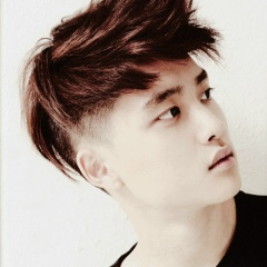 Do Kyungsoo, 12.01.1993
