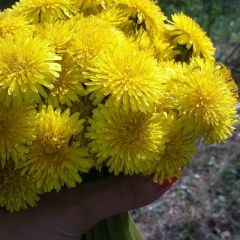 Вита Ярмощенко, 26.02, Обухов