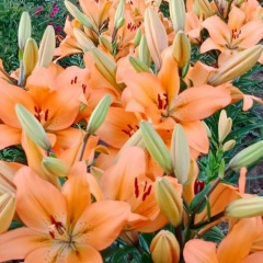 Валентина Илларионова, 24.11, Чебоксары