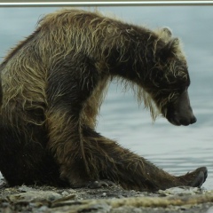 Иван Давыдов, 29.08.1988, Петропавловск-Камчатский