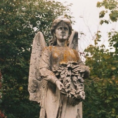 Рома Воронцов, 04.05