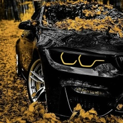 Жека Чибуков, 01.04, Иркутск