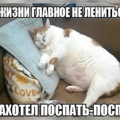 Алан Дзгоев, Владикавказ