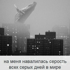 Айша Королёва, 11.09.1998, Москва