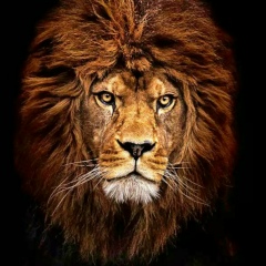 Антон Акулов, 13.08, Брянск