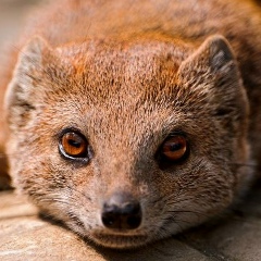 Павел Бугаев, 29.12.1988, Симферополь