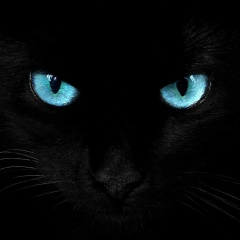 Lili Log, 05.01, Красноярск