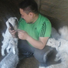 Аян Иргит, 08.04, Кызыл