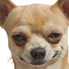 Sasha Dudca, 15.07.1992, Тирасполь