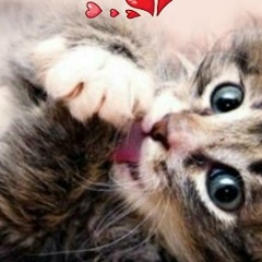 Даша Лютая, 02.08.1999