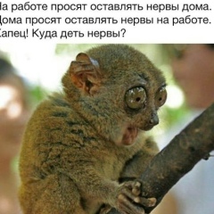 Виктор Грибоедов, 08.12, Норильск