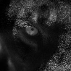 Мила Алмазова, 14.10, Краснодар