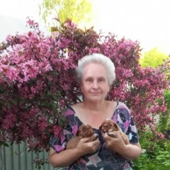 Ирина Тишкова, 12.08, Череповец