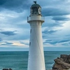 Михаил Воронков