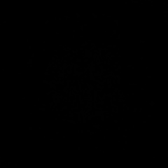 Алексей Бро, Бердск