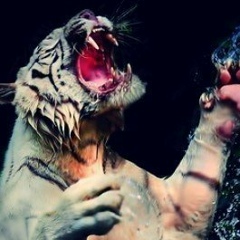 Сергей Кришина, 05.05, Винница