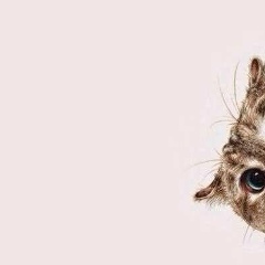 Анастасия Трушина, 11.03.1991, Москва