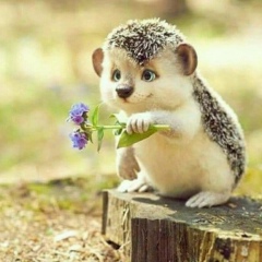 Джандосова Асель, 07.07.1990, Актобе