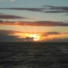 Коля Фролов, 14.12, Санкт-Петербург