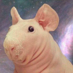 Кирюха Бананан, 08.12.1987, Одесса