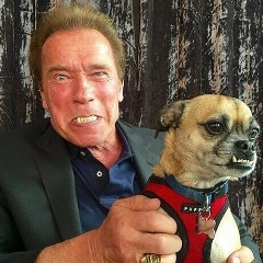 Вася Барбанаков, 13.01, Черновцы