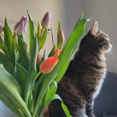 Маргарита Ким, 25.12.1961, Москва