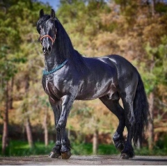 Talgat Toksanbaev, 27.08.1993, Астана