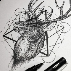 Сергей Ким, 02.03, Алматы