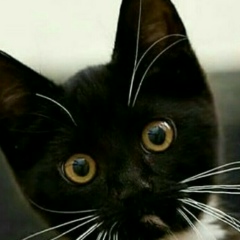 Игорь Колганов, 22.08.1986, Новоуральск