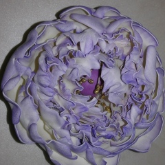 Laura Tompisheva, 15.04.1979, Атырау