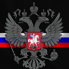 Polet Dimon, 29.10, Каменск-Шахтинский