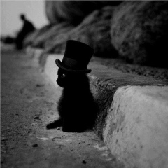 Olga L, 08.03.1989, Санкт-Петербург