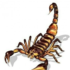 Абай Абдильманов, 07.11.1988