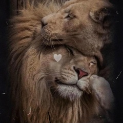 Айжан Арыстанбекова, 15.01, Алматы