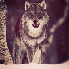 Ерназар Батырбаев, Астана