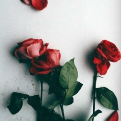 Саша Рассадина, 22.06.2000