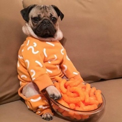 Дмитрий Бобров, 10.02.1901