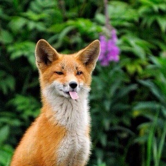 Анастасия Лунёва