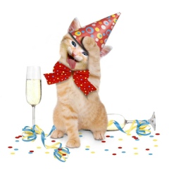 Александра Кора, 17.08, Москва