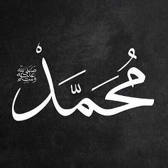 Хамзат Солсанов, 18.11, Москва