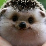 Александр Бутовский, 24.04.1990, Ашхабад