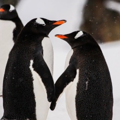 Руслана Заец, 02.01