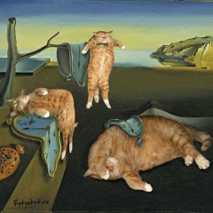 Светлана Ямашкина, 11.09, Владивосток