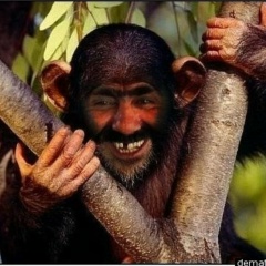 Серёжа В, 26.03, Омск